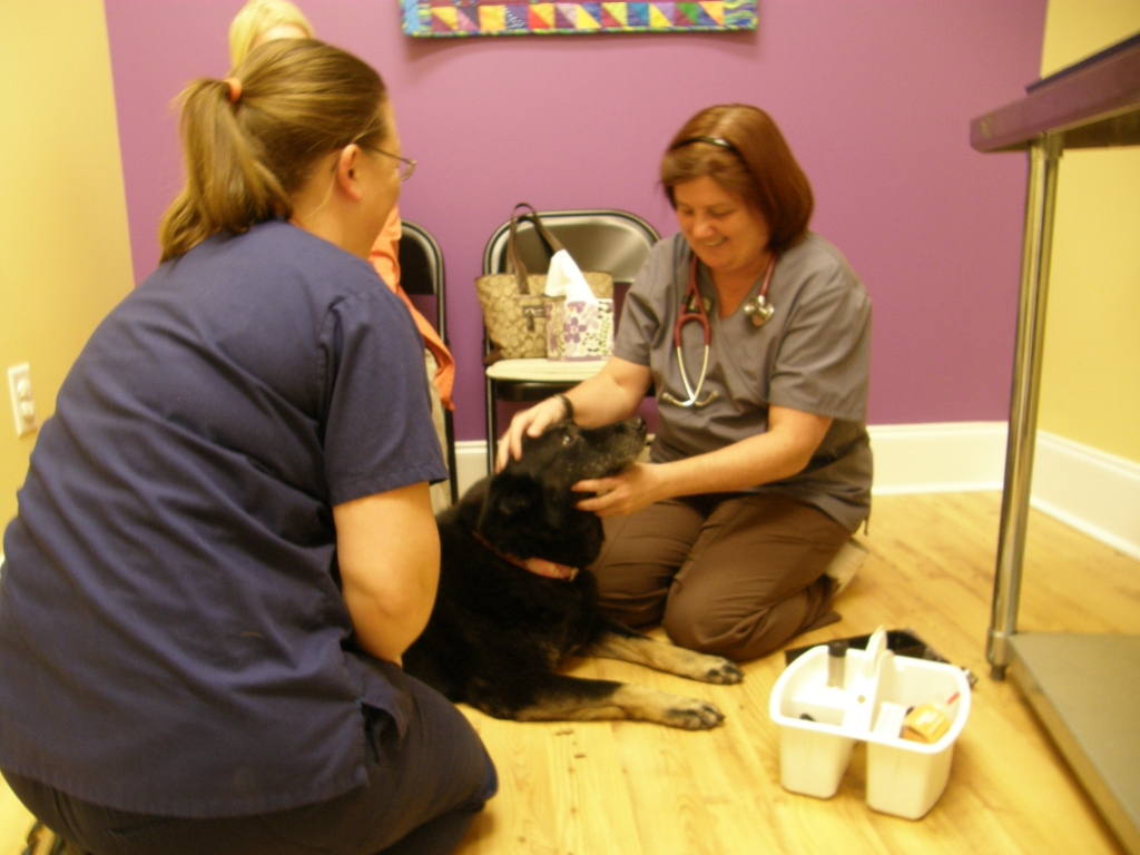 Pine Mountain Veterinary in Kennesaw, Mission Statement